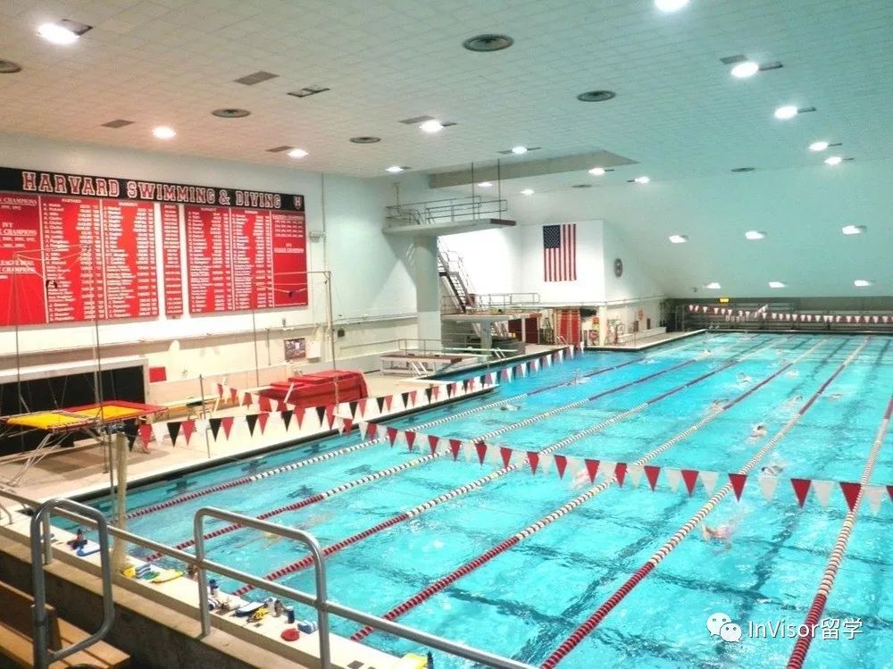 哈佛大学游泳池
