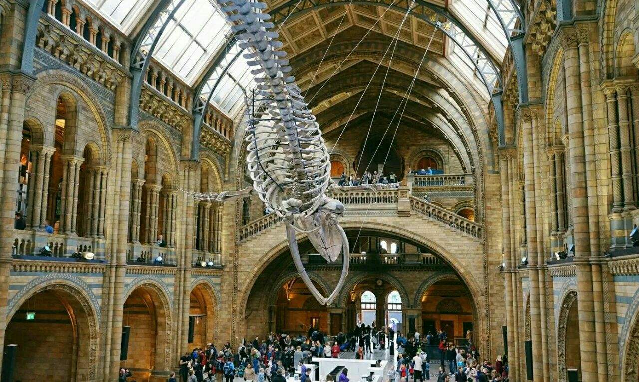 自然历史博物馆